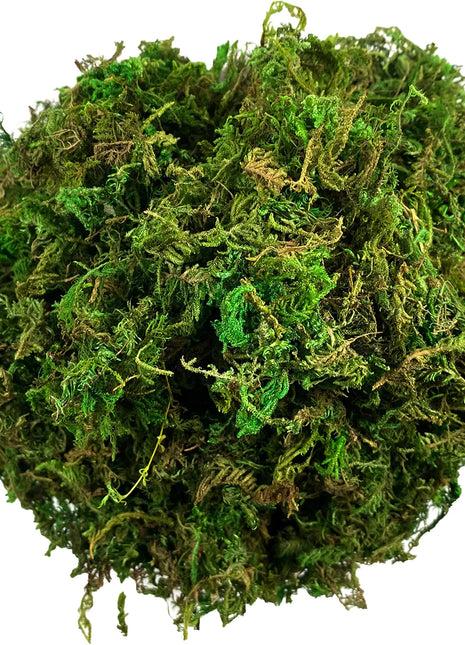 Artificial Moss Green for Potted Plant Orchid Potting Mix Peat Moss Pole Craft