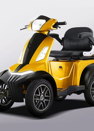 Off-road Powerful Adult Bike 4Wheel Car for Handicapped and Elderly Scooter Moto Eletrica Aduto Elektro Fahrzeuge Für Erwachsene - Riparo82