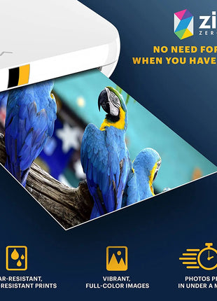 Carta fotografica originale Kodak Premium Zink da 2"x3" (20-100 fogli) compatibile con Kodak Smile, Kodak Step, carta fotografica PRINTOMATIC