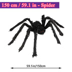 150cm
