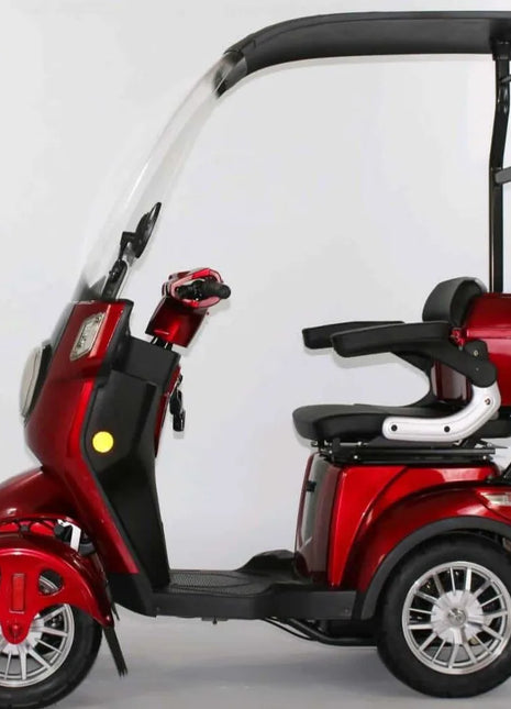 Folding Adult 4 Wheel Power Electric Mobility Scooter With One Seat Can Mobility Scooter for Elder - Riparo82