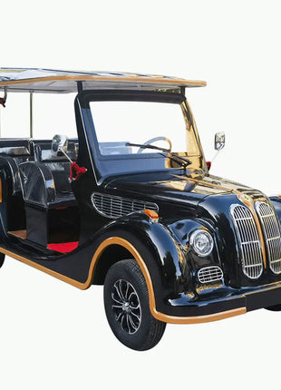 Street Legal Support Custom Electric Golf Cart Adult Electric Car Electric Classic Car With Speaker Mini For Family And Hunting - Riparo82