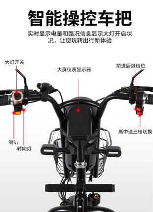 Triciclo elettrico HLZ triciclo domestico per adulti a batteria - riparo82