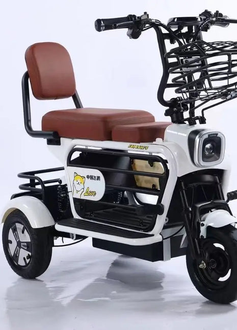 Electric tricycle mini electric car pet car elderly scooter - Riparo82