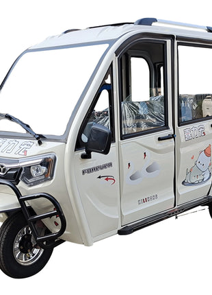 Chang li 4 adults electric tricycle for disabled    passenger seat - Riparo82