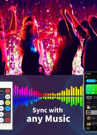 USB 5V Smart RGB-IC Fata Stringa di luci Luci di Natale Decorazioni Lampada Ghirlanda WS2812 APP Bluetooth e telecomando indirizzabile