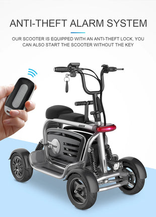 4 Wheels Dual Motor Electric Scooter Adults 800W 48V 4 Wheel Drive Mobility Scooter With Large Storage Basket 2 Seat For Women - Riparo82