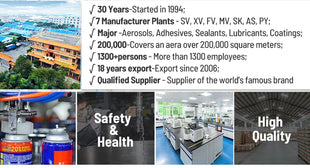 SANVO SP olio motore sintetico 5w30 ad alte prestazioni al 100% modelli europei 4L