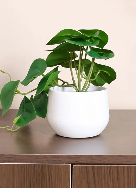 1PC Simulated Plant Potted Plant, Business Office Desktop, Foyer, Garden, Garden, Floral And Home Decoration