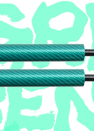 Ammortizzatore portellone posteriore 2 pezzi per Pechino X3 5 porte hatchback 2019-presente portellone con molla bagagliaio ammortizzatori a gas caricati a gas