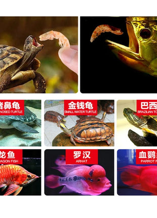 Tropical cichlid Turtle Flowerhorn Carnivore Fish Food Freeze Dried Shrimp Antartic Krill - Riparo82