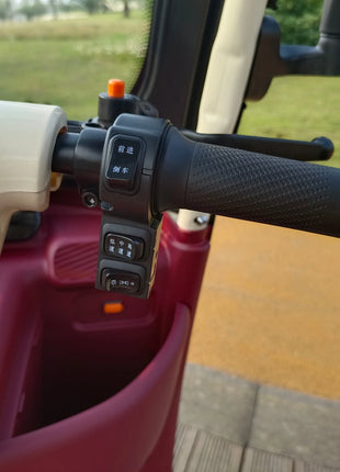 2025 Hot Selling Electric Tricycle for Family Use Open Body Rickshaw with Roof for Passenger and Cargo for Adults