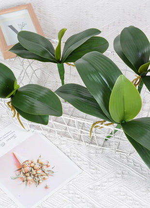 Real Touch  Artificial Green Butterfly Orchid Leaf Plastic Flower Leaf Home Wedding Party Decoration