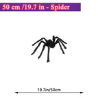 50cm