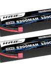 2pc 2s 5200mah T / GERMANY