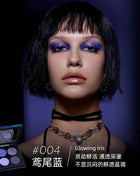 Kaleidos Glitter Eyeshadow Makeup Palette 4Colorful High Pigmented Shimmer Glitter Eye Shadow Make Up Pallet Gift Set