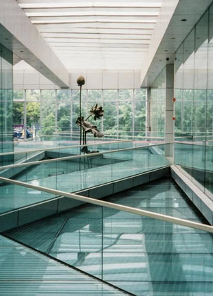 Pellicola originale KODAK ColorPlus 200 35mm 36 esposizione Per rotolo adatta Per fotocamera M35 / M38 /H35 pellicola negativa 36EXP Per fotocamera LOMO