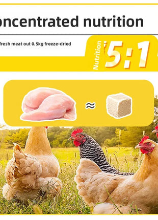 BESSN Aquatic Turtle Food - High Protein Freeze-Dried Shrimp&Meat Mix for Red-Eared Slider,Snapping Turtle&Terrapin - Riparo82