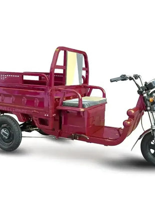 Cheap E-trikes 3 Wheel Tricycle Cargo Truck Durable 300cc Cargo Tricycle Strong Electric Cargo Tricycle for Adult - Riparo82