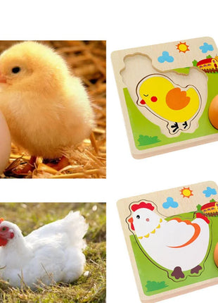 Puzzle 3D in legno Pulcino che cresce le galline che ponde le uova Processo Puzzle Apprendimento Educazione Giocattoli Montessori - riparo82