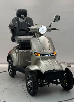 Modification Outdoor Four Wheels 25km/h 1000W  Electric Moped Scooter Affordable Price Wholesale Retail Electric Mobility Scoote - Riparo82