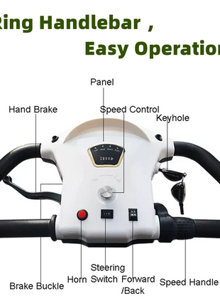 Mini Autobus Elettrico 2-4 Posti con Tetto - Scooter Turistico Doppia Fila - riparo82