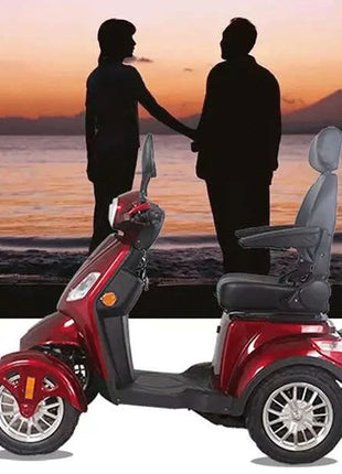Travel 4 Wheels Elderly Electric Scooter Disabled Handicapped Mobility Scooter For Seniors - Riparo82