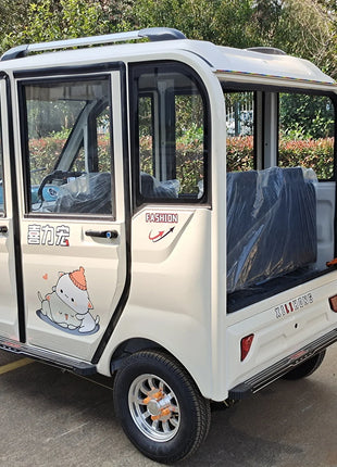 Chang li 4 adults electric tricycle for disabled    passenger seat - Riparo82