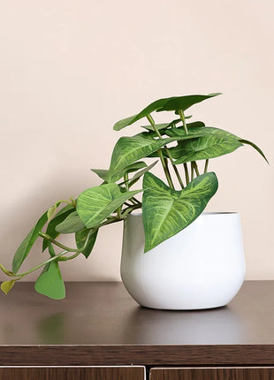 1PC Simulated Plant Potted Plant, Business Office Desktop, Foyer, Garden, Garden, Floral And Home Decoration