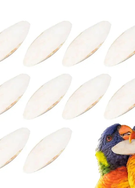 10 pz Cuttlebone Per Lumache Usso di Seppie Naturale Punte di Uccello Seppie Osso Giocattolo Da Masticare Per Becco Calcio Cuttlebone Per Lumaca - riparo82