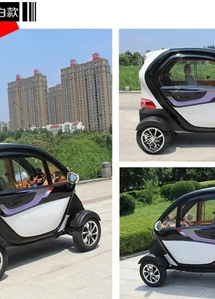 Factory sell 4 wheel drive electric car accept OEM for elderly passenger - Riparo82
