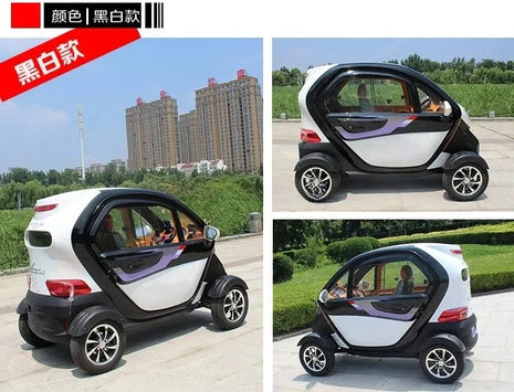 Factory sell 4 wheel drive electric car accept OEM for elderly passenger - Riparo82
