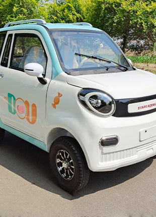 Export Eco car 4-wheel pure electric car 60v105Ah 1000w adult two-wheel drive 5-seat low-speed mini electric battery car - Riparo82