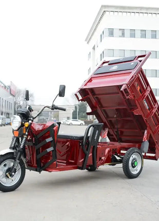 Cheap E-trikes 3 Wheel Tricycle Cargo Truck Durable 300cc Cargo Tricycle Strong Electric Cargo Tricycle for Adult - Riparo82