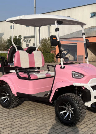 China's Hot Sale 48V/72V Lithium Golf Car 4/6/8 Person Electric Mini Sightseeing Bus Electric Golf Carts - Riparo82