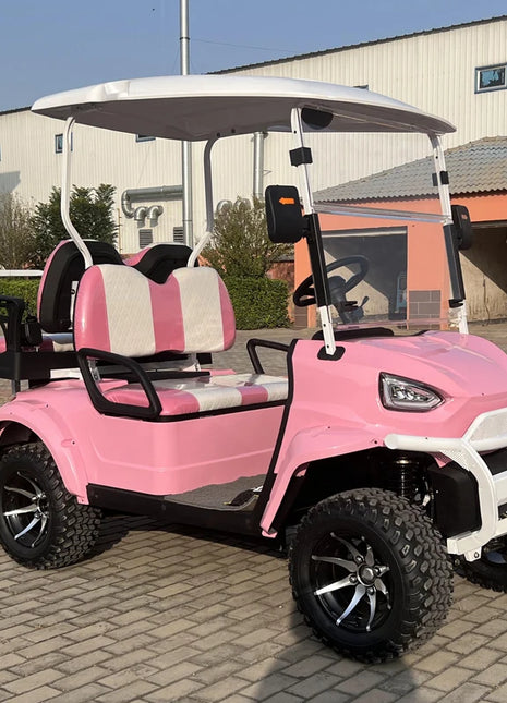 China's Hot Sale 48V/72V Lithium Golf Car 4/6/8 Person Electric Mini Sightseeing Bus Electric Golf Carts - Riparo82