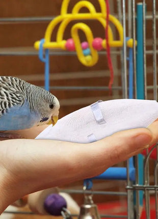 Uccello Seppie Osso Uccello Naturale Cuttlebone Pappagallo Giocattolo Da Masticare Pet Rettifica Seppie Osso Uccello Molare Snack Pappagallo Forniture - riparo82