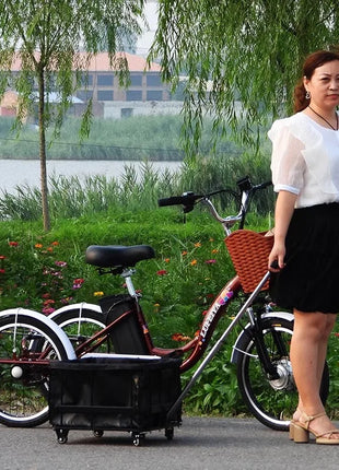 3 Wheel Electric Tricycle Cargo Bike 20 Inch 350w 48v Family Electric Wheel For Bicycle For Women Man Adult With Pull Basket - Riparo82