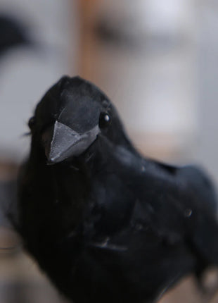 6PCS Black Feather Crow Halloween Props Mock Crow Spooky Feather Decoration Props Halloween Party Scary Animal Horror Props - Riparo82