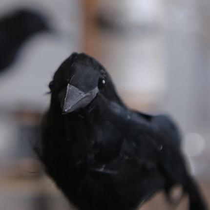 6PCS Black Feather Crow Halloween Props Mock Crow Spooky Feather Decoration Props Halloween Party Scary Animal Horror Props