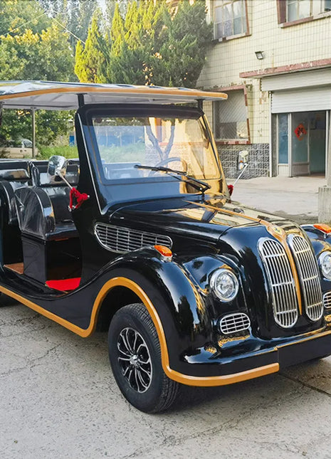 Street Legal Support Custom Electric Golf Cart Adult Electric Car Electric Classic Car With Speaker Mini For Family And Hunting - Riparo82