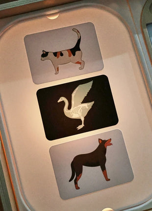 Tavolo sensoriale ottico in legno per bambini Montessori utilizzato per giochi da tavolo sensoriali Regalo di giocattoli per l'ortografia di numeri e lettere - riparo82