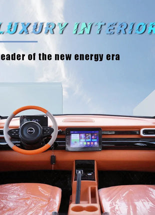 Electric car new maintenance-free low-speed car 4-seat fully enclosed electric mini car - Riparo82