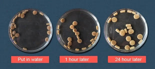 Turtle Tortoise Reptile Hamster Feed Dried Fish Shrimp Mealworm Bread Worm Aquarium  Food - Riparo82