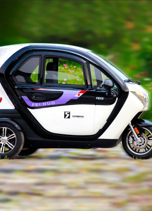 Pick up and drop off children Electric tricycle does not turn over Fully enclosed scooter with a battery life of 190 kilometers - Riparo82