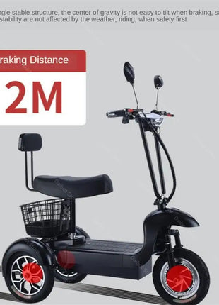 3 Wheel Mini Electric Adult Tricycle For 2 Person 500W Electric Scooter For Old People With Cargo Basket/USB/Fashion Lamp 35KM/H - Riparo82