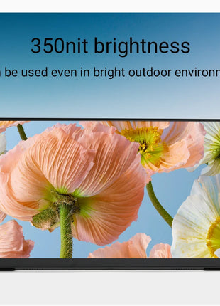 ZSUS 18-Inch 1080P 100Hz 100%sRGB Portable Monitor 16:9 HDR 350cd /M² For XBox PS4 / 5 Switch Cell Phone PC Loptop Extension - Riparo82