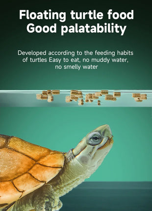 YEE Premium Turtle Food – Specially Formulated for Golden Coin Turtles, Yellow Pond Turtles, and Hatchlings - Riparo82