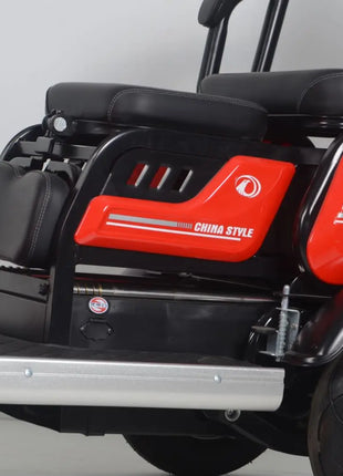 2024 High Quality Best Price 800w 15 Tube Four Wheel Electric Tricycle with Roof for Adult Golf Cart Electric with Roof - Riparo82