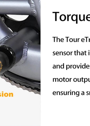 E-Trike 2400W Motor 48V30AH Removable Battery Electric Tricycle Support Reversing Function 20*4Inch Fat Tire Snow Electric Trike